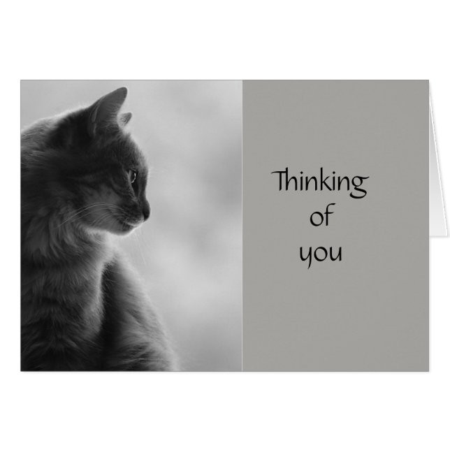 Pensando en ti, Motivador gato gatito (Anverso (Horizontal))