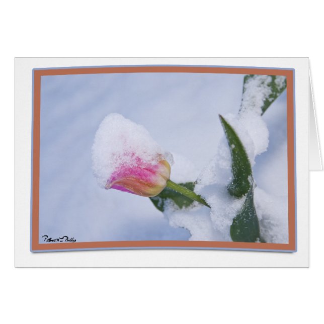 Pensando en ti Nieve cubierta de tulipán rosado (Anverso (Horizontal))