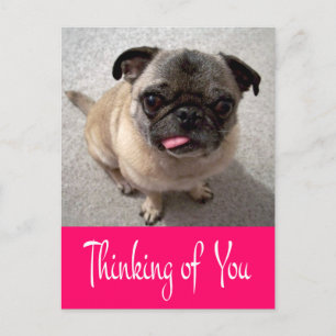 Pensando en ti pug cachorro perro saludo tarjeta p