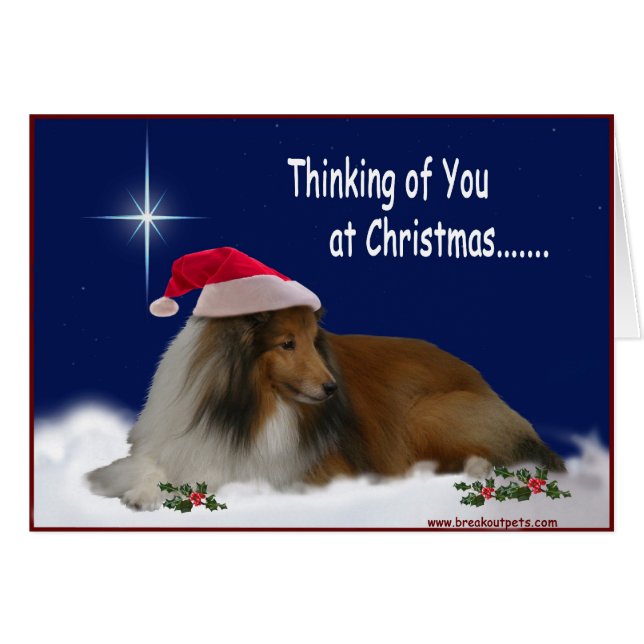Pensando en ti Sheltie Notecards (Anverso (Horizontal))