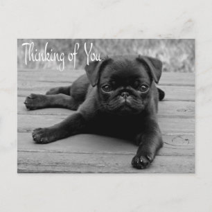 Pensando en Ti Tarjeta Postal de Perro Pug Cachorr