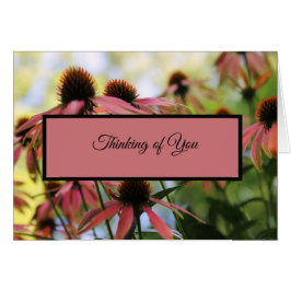 Pensando en tu oración