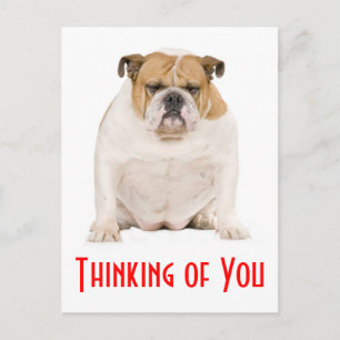 Pensando en tu postal de perro porcino de Bulldog