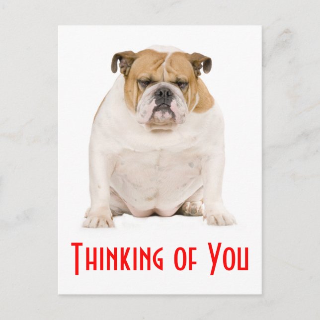 Pensando en tu postal de perro porcino de Bulldog  (Anverso)