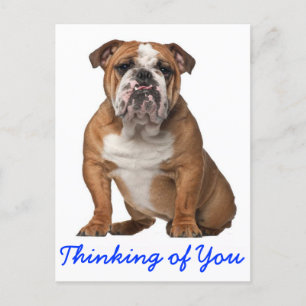 Pensando en tu postal de perro porcino de Bulldog