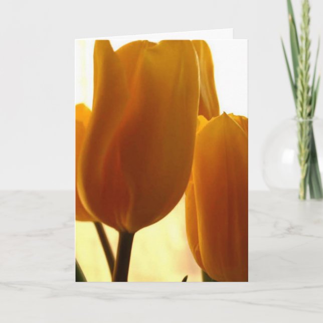 Pensando En Tu Tarjeta (Anverso)