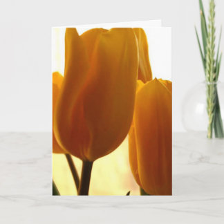 Pensando En Tu Tarjeta