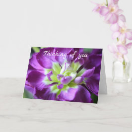 Pensando en tu tarjeta de felicitación