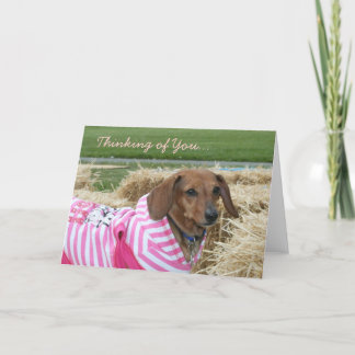 Pensando en tu tarjeta de felicitación Dachshund