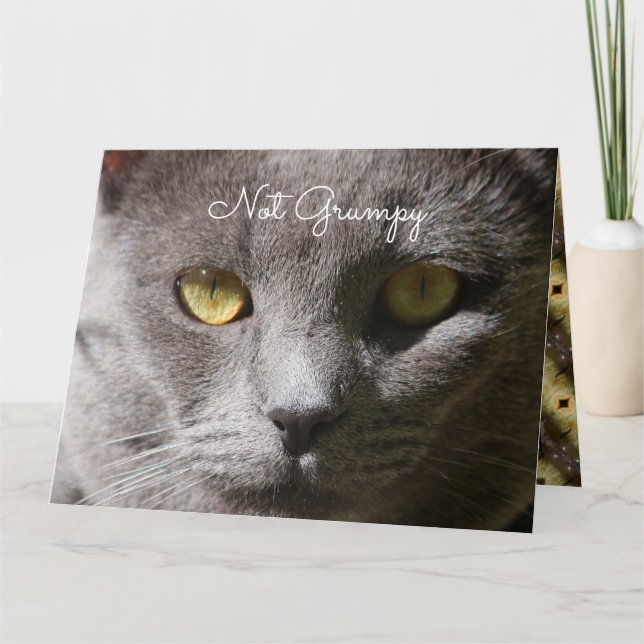 Pensando En Tu Tarjeta De Gato (Anverso)