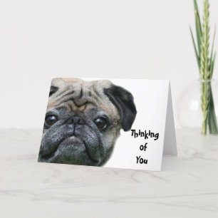 Pensando en tu tarjeta de saludo de perro de pug
