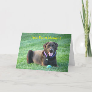 Pensando En Tu Tarjeta De Saludo Labrador Recupera