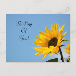 Pensando en tu tarjeta girasol