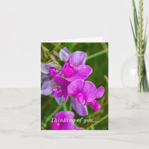 Pensando En Tu Tarjeta - Orquídeas Púrpura