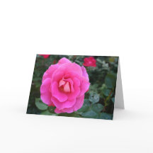 Pensando en tu tarjeta rosa rosada