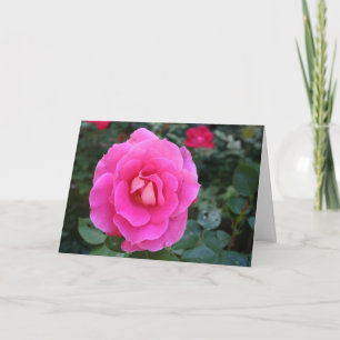 Pensando en tu tarjeta rosa rosada