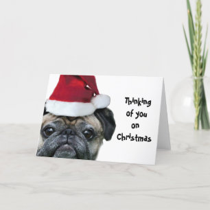 Pensando en tus Navidades pug perro tarjeta de sal