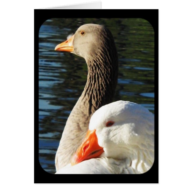 Pensando en usted_ Card (Frente)