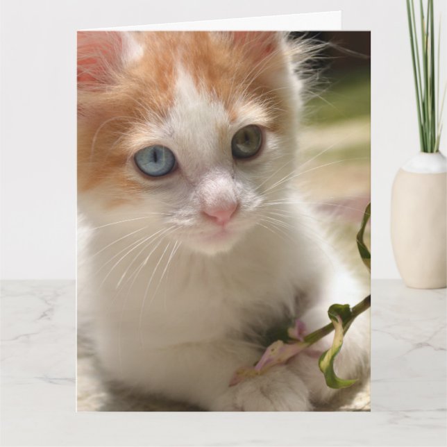 PENSANDO EN USTED CUTE KITTEN GRANDES TARJETAS (Anverso)