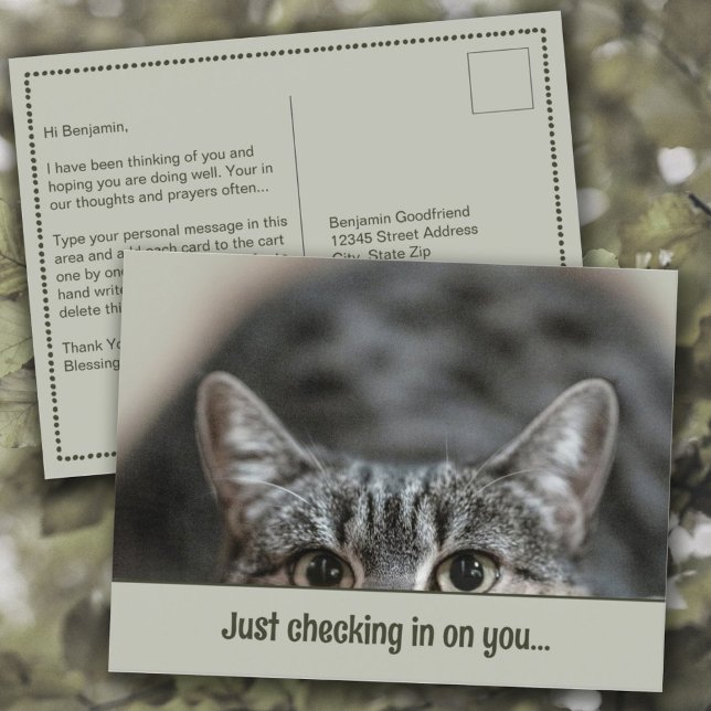 Pensar en la postal de la plantilla de título de u (Thinking of You "Just Checking in on You" Cute Cat Personalized Caption Template Postcard)
