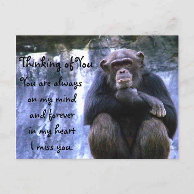 Pensar en la postal de usted (Anverso)