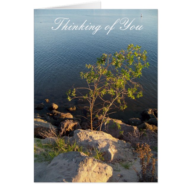 Pensar en la tarjeta (Frente)