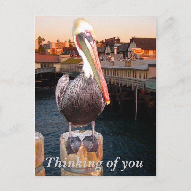 Pensar en la tarjeta postal (Anverso)