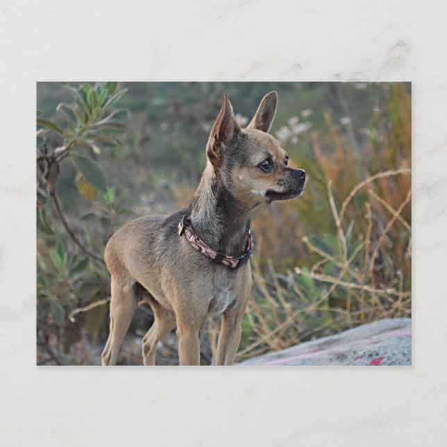 Pensar en tu postal (Anverso)