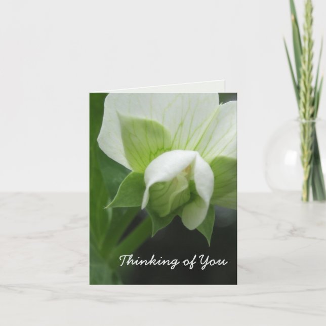 Pensar en tu tarjeta como Personalizable completo (Anverso)