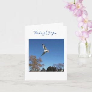 Pensar En Tu Tarjeta De Compatía