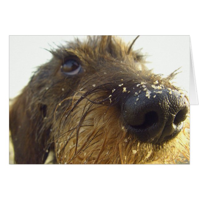 Pensemos en eso... (Anverso (Horizontal))