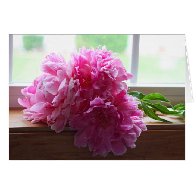 PEONES (Anverso (Horizontal))