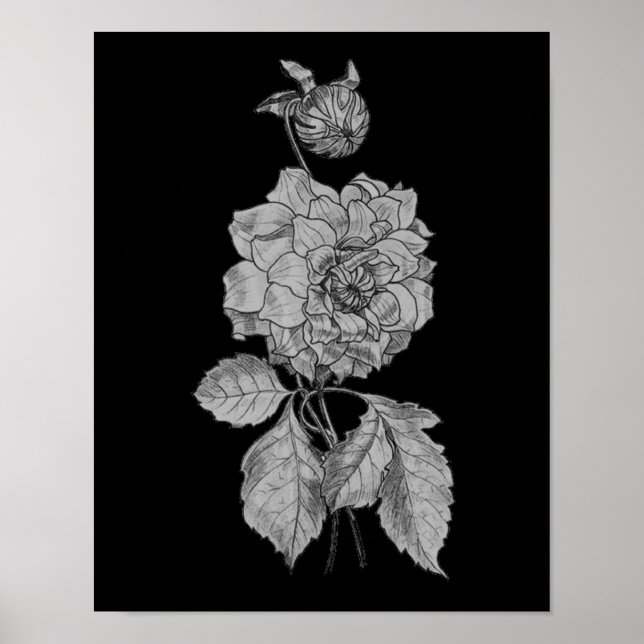 Peonía plateada sobre arte floral negro (Frente)