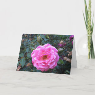Peonía rosa, tarjeta de felicitación