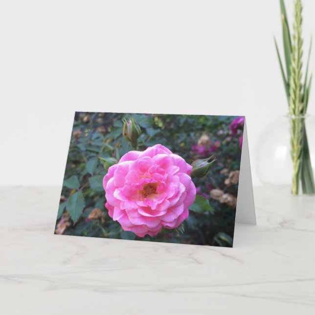 Peonía rosa, tarjeta de felicitación (Anverso)