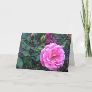 Peonía rosa, tarjeta de felicitación