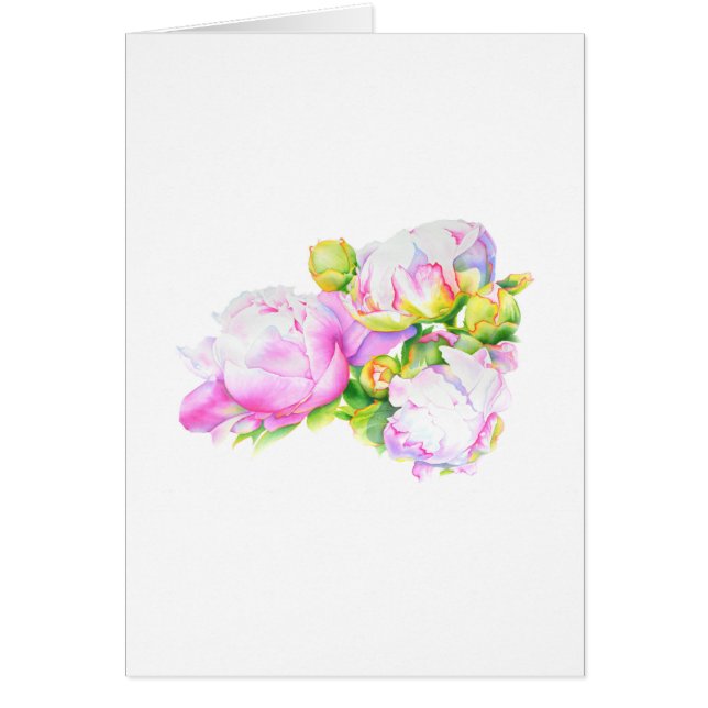 Peonias, pintura floral rosa, blanca, acuarela (Frente)