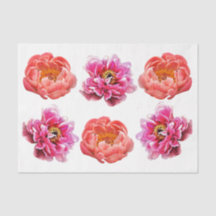 Peonies - Coral y Rosa - Papel de tejidos de desco