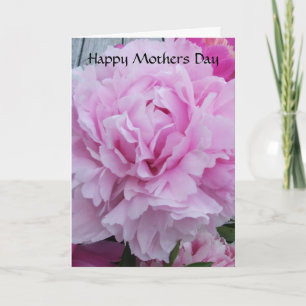 Peonies del rosa de la tarjeta del Día de la