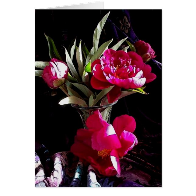 Peonies rojos atractivos (Frente)