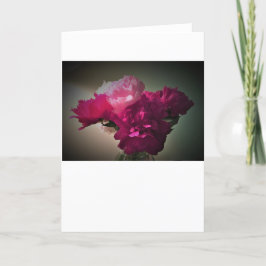 Peonies, tarjeta