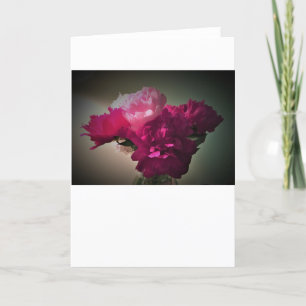 Peonies, tarjeta