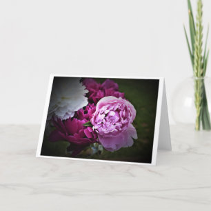 Peonies, tarjeta