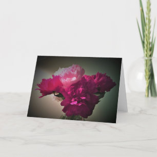 Peonies, tarjeta