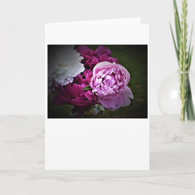 Peonies, tarjeta (Anverso)