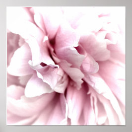 Peony en macro con arte digital rosado