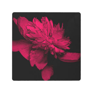 Peony Resumen Arte floral Impresión Metalizado