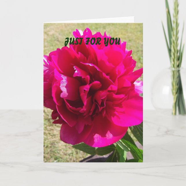 Peony rojo cualquier tarjeta de felicitación de la (Anverso)