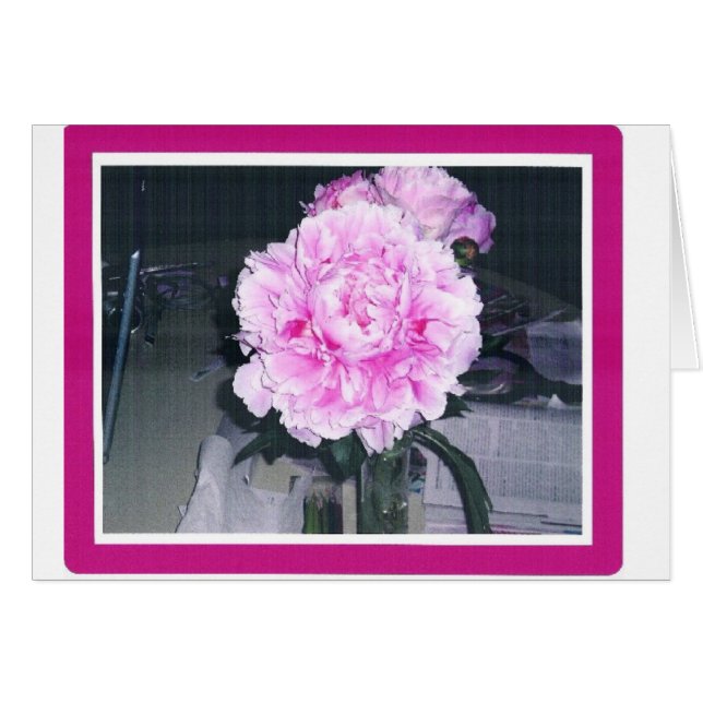 PEONY ROSÁCEO (Anverso (Horizontal))