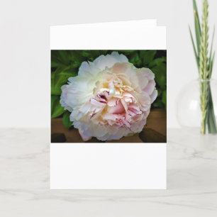 Peony, tarjeta